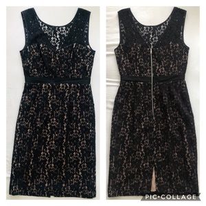 BCBG Max Azria Alice Black Nude Lace Sheath Dress